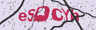 Captcha認証コード