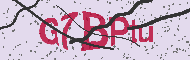 Captcha認証コード
